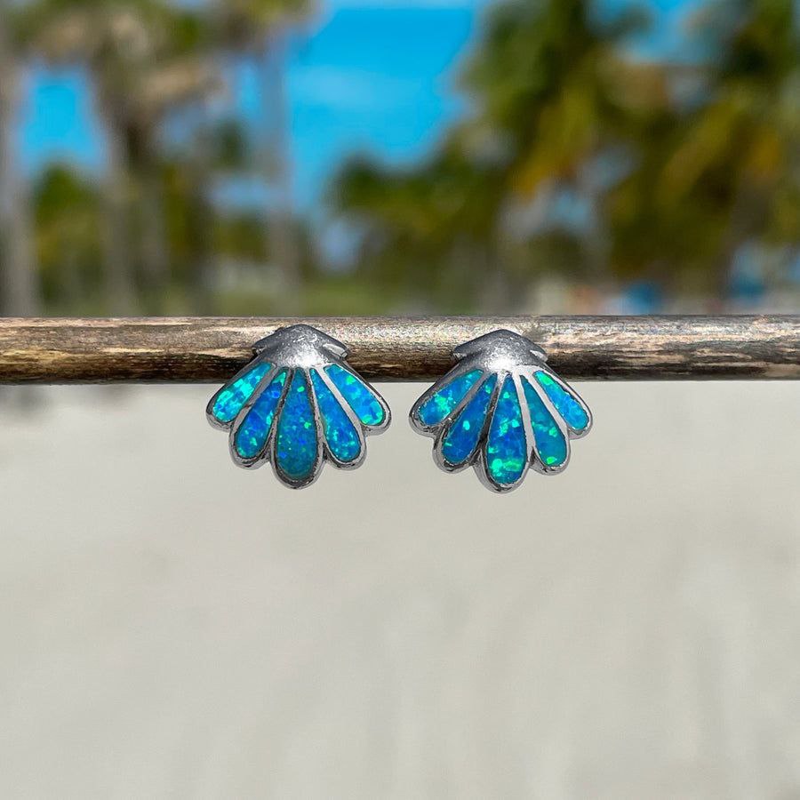 Sea Shell Earrings