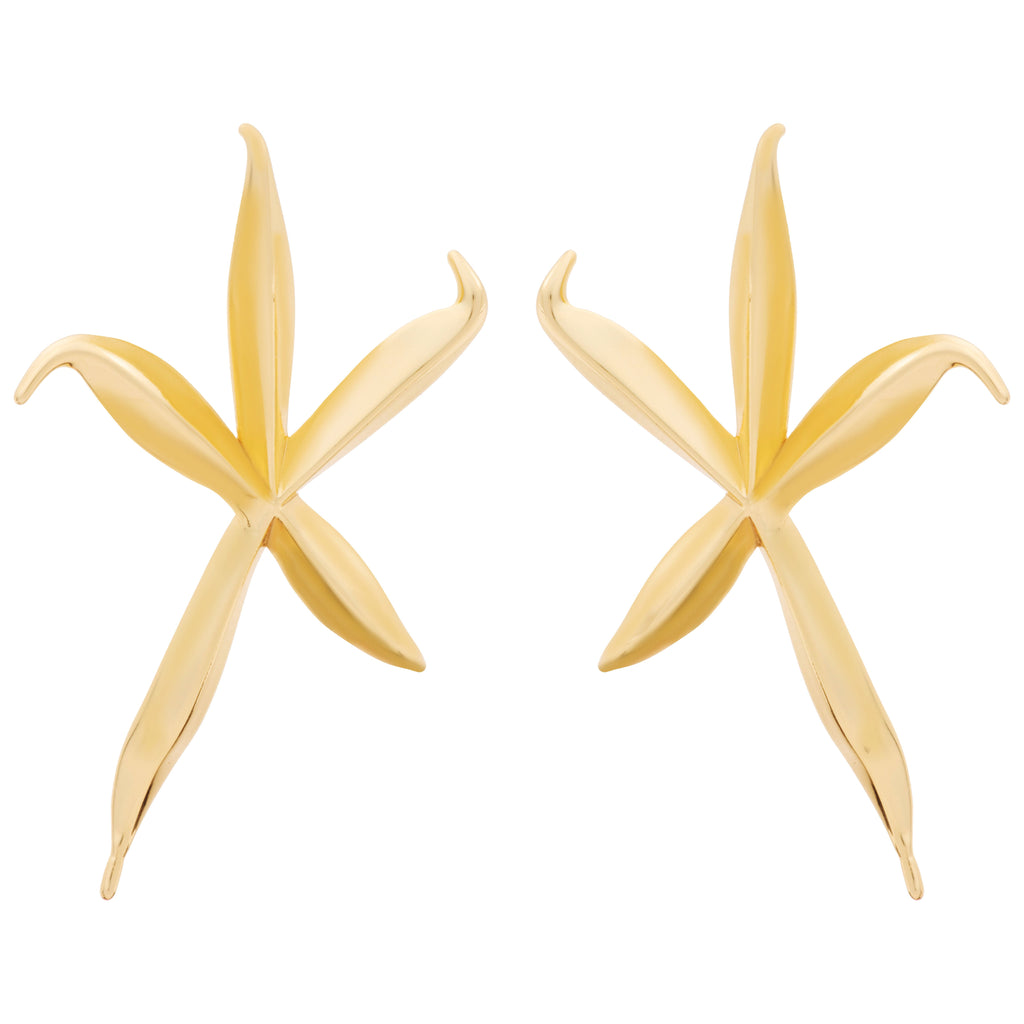 Starfish Earring