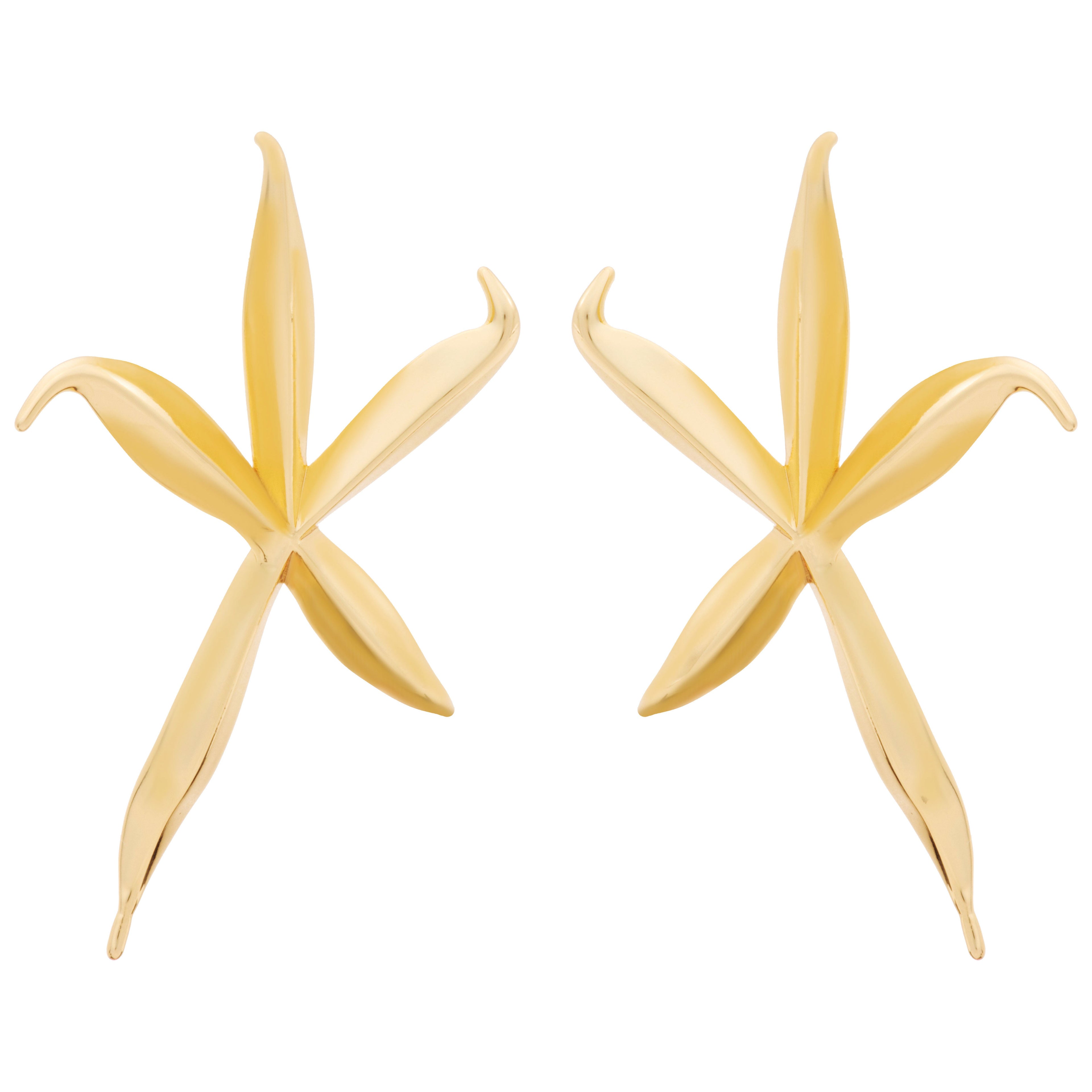 Starfish Earring