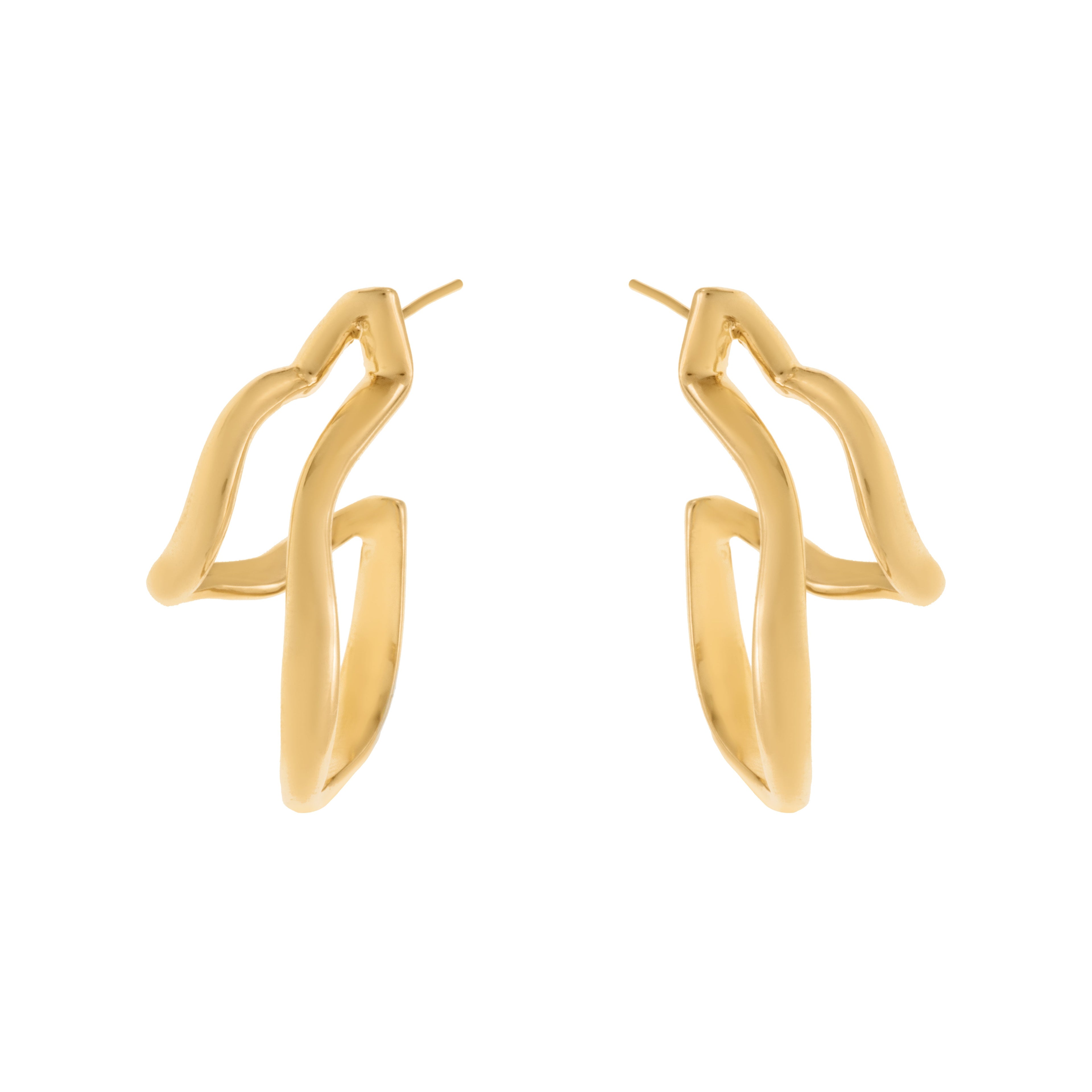 Double Route Earring